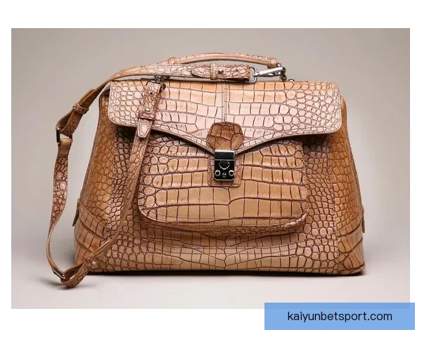 探索开云官网奢侈品世界，领略顶级品牌独特魅力与时尚风采